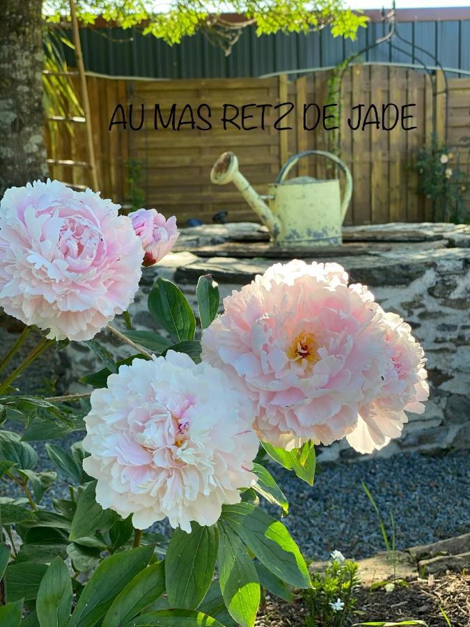 Au Mas Retz De Jade Bed & Breakfast Chauve ภายนอก รูปภาพ