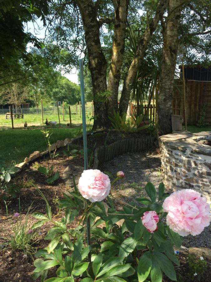 Au Mas Retz De Jade Bed & Breakfast Chauve ภายนอก รูปภาพ
